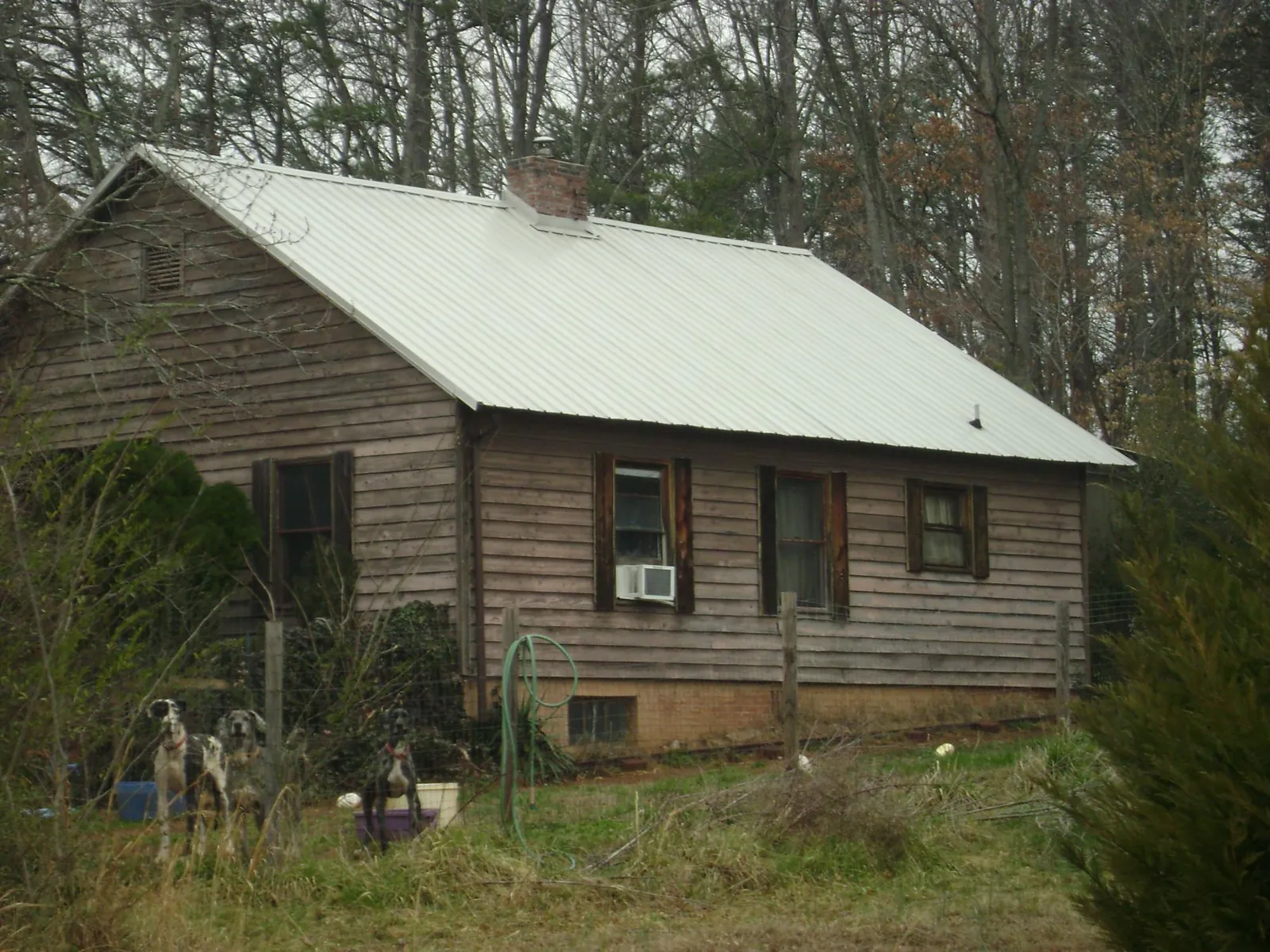 White metal roof on an old wood sided farmhouse, from a Metal Roof Installation job in Vancouver
